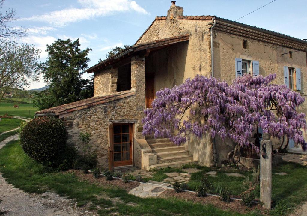 Suze Apartment | Touroulet