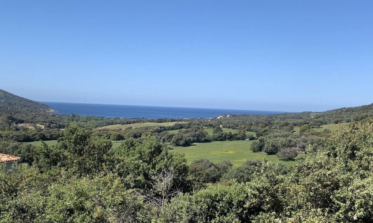 Cargese House | Villa with pool, between olive trees and sea - fantastic view!
