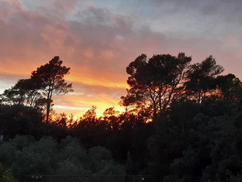 Taradeau Bed & Breakfast | Villa Xanadu