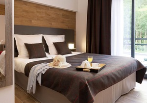 Comfortably furnished apartment in an attractive town