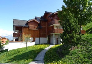 Confortable appartement 3 pièces, 8 pers, animaux admis, Vallandry - FR-1-411-342