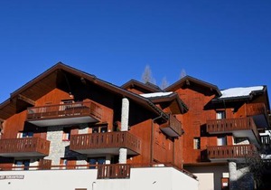 Confortable appartement 3 pièces, 8 pers, animaux admis, Vallandry - FR-1-411-342