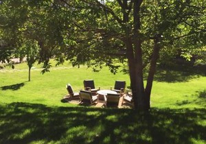 Domaine Les Martins