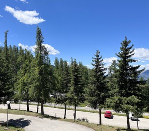 Valberg 