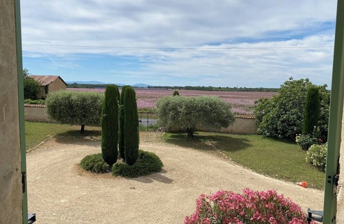 Brunet Apartment | 04B4 : Beautiful studio in a mas provençal - pool