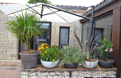 La Jarrie Apartment | 2 studio gîtes with heated indoor pool 15 minutes from La Rochelle