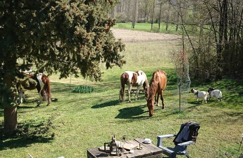 Serignac House | 5mn from a lake Quiet country house (pets welcome)