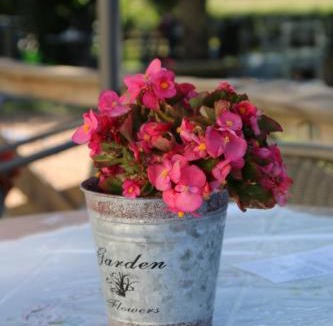 Pionsat Bed & Breakfast | A la Bonne Heure