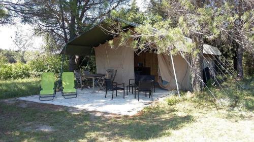 Mazan Other | Acacia