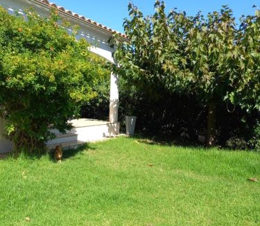 Sarrola-Carcopino Apartment | afa butrone sarrola