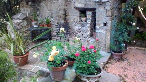 Bobbio Bed & Breakfast | Al Museo