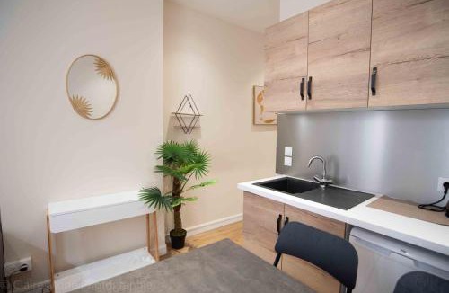 Les Cordeliers Apartment | All in Lyon | Studio du Temple des Jacobins