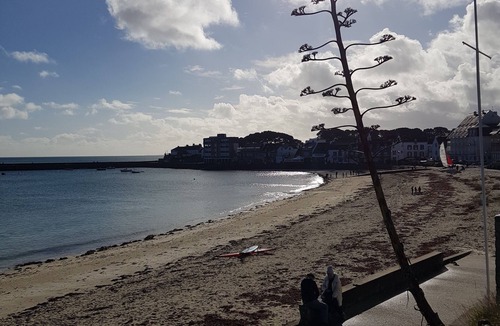 Saint-Pierre-Quiberon Apartment | Apartment SAINT-PIERRE-QUIBERON