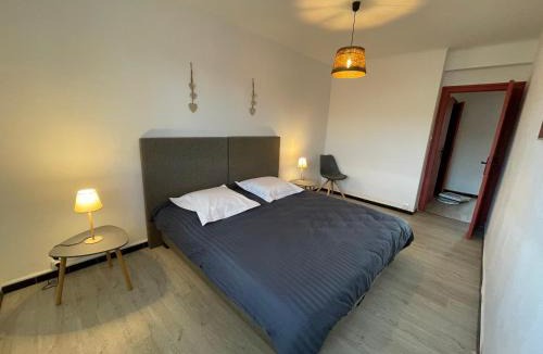 Le Peage-de-Roussillon Apartment | Appartement 2 chambres, central