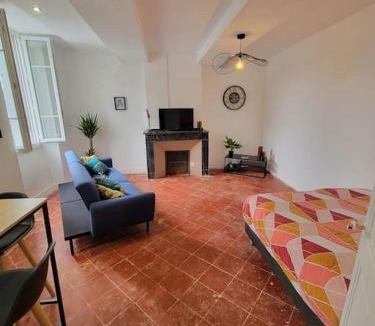 Graulhet Apartment | Appartement de Charme avec tomettes et Parquet climatisé