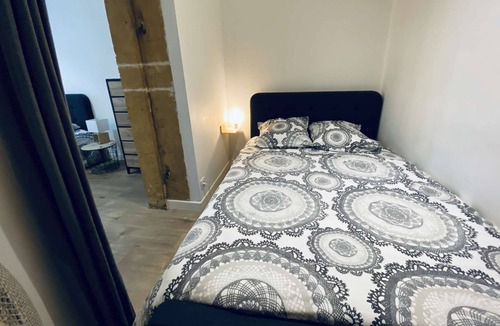 Les Cordeliers Apartment | Appartement Hyper-centre historique style atelier