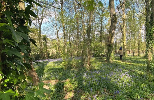 Pipriac House | Architect's cottage in 7hectares of private forest