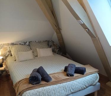 Orthez Apartment | Au nid boisé - 2 chambres 4 pers - centre ville