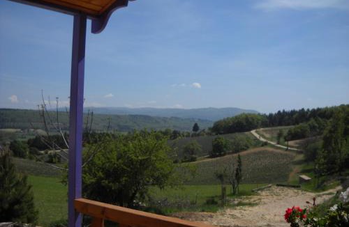 Aurel House | Aurel inattendu