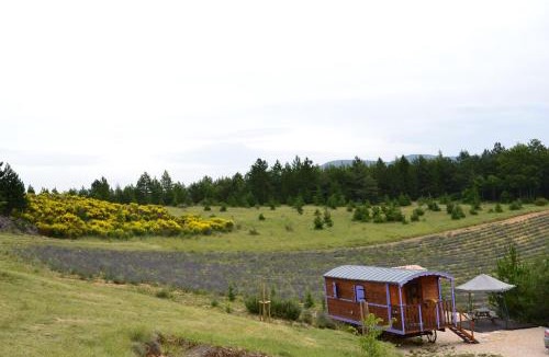 Aurel House | Aurel inattendu