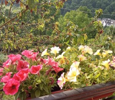 Roccaforte Mondovi Bed & Breakfast | B&B Casa dell'Orso