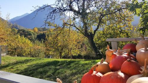 Beaucens Bed & Breakfast | B&B Eth Béryè Petit