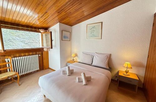 Valberg Ski Chalet | Beautiful detached house facing the slopes