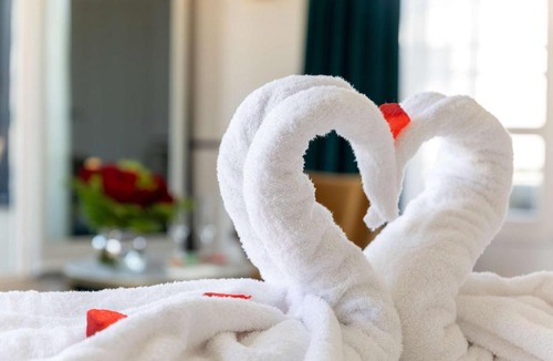 Lyon City Centre Hotel | Best Western Plus Hotel du Pont Wilson