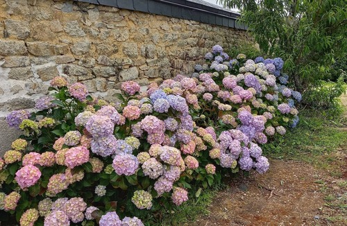 Plogastel-Saint-Germain House | Breton house in Pays Bigouden between sea and countryside, South Finistère