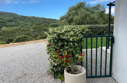 Propriano House | Brindingaccia