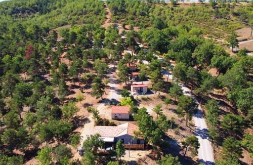Esparron-de-Verdon Other | Bungalow avec Terrasse pour 5 Pers. au Camping Esparron-de-Verdon - API-1-52-779