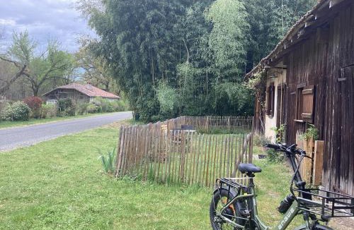 Losse House | Cabane de charme