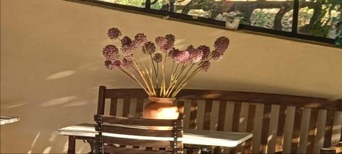 Cotignac Bed & Breakfast | Campagne de la source St Martin B&B