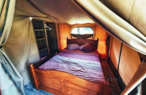 Engravies Other | Camping des vignes