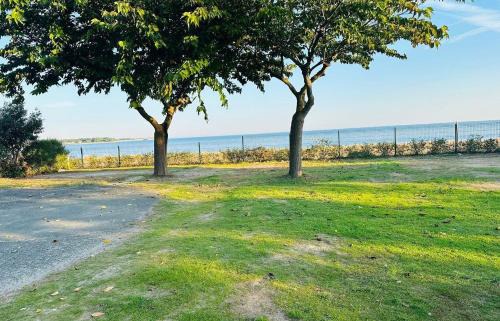 Rivedoux-Plage Other | Camping Le Platin - La Redoute