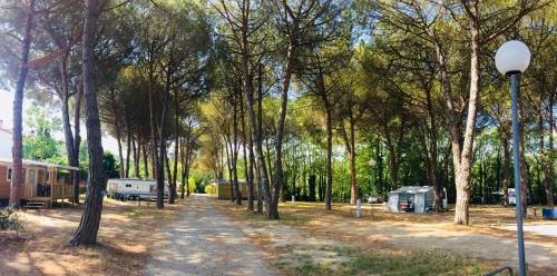 Maureillas-Las-Illas Other | Camping Maureillas