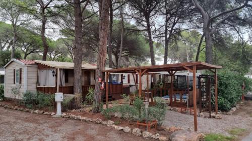 Puget-sur-Argens Other | Camping Oasis Village