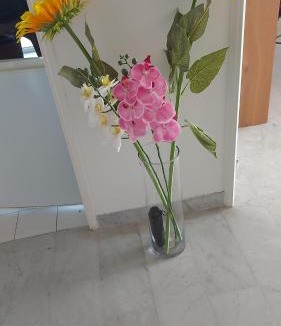 Riou - Petit Juas - Av de Grasse Apartment | Cannes Park