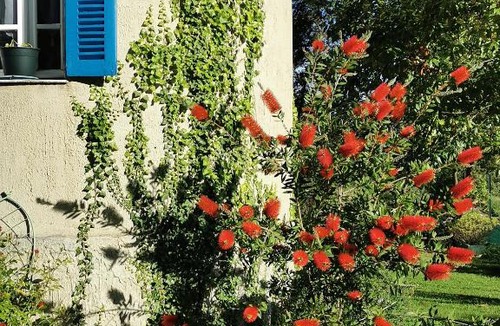 Vico Bed & Breakfast | Casa Maria