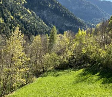 Prazzo Superiore Apartment | Castori due