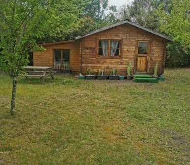 Biscarrosse Ski Chalet | Chalet à Biscarrosse