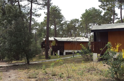 Maubuisson Ski Chalet | Chalet 4-6 people under the pines at Bombannes