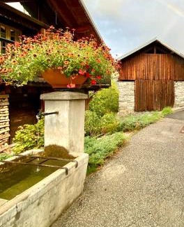 Saint-Bon-Tarentaise Ski Chalet | Chalet Greuffa