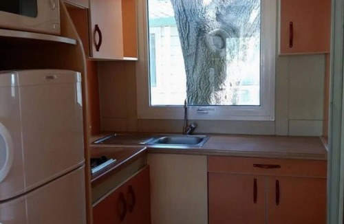 Aregno Ski Chalet | Chalet with AC and pets - 5 guests