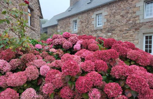 Ploubazlanec Bed & Breakfast | Chambres et tables d'hôtes Cornec