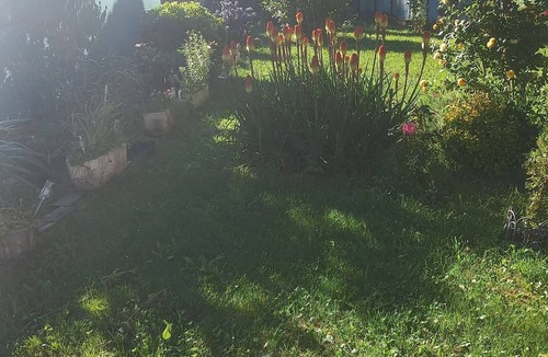 Forcalquier House | Charming downstairs villa