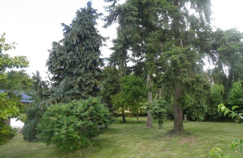 Bazouges-la-Perouse House | Charming independent country cottage with large space