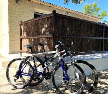 Camps-la-Source Apartment | Charming studio in an exceptional equestrian farm