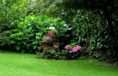 Montfavet Bed & Breakfast | Chez Fleur