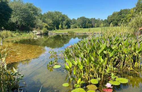 Samouillan Bed & Breakfast | ChezLeMoulin Bed and Breakfast